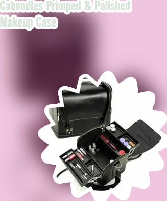 Make up case